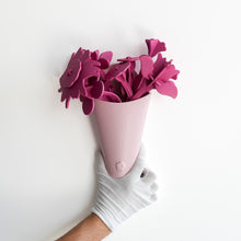 Wall Vase and Flowers