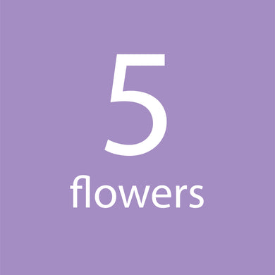 5 Flowers